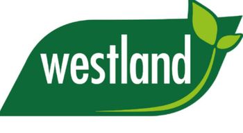 wastland logo
